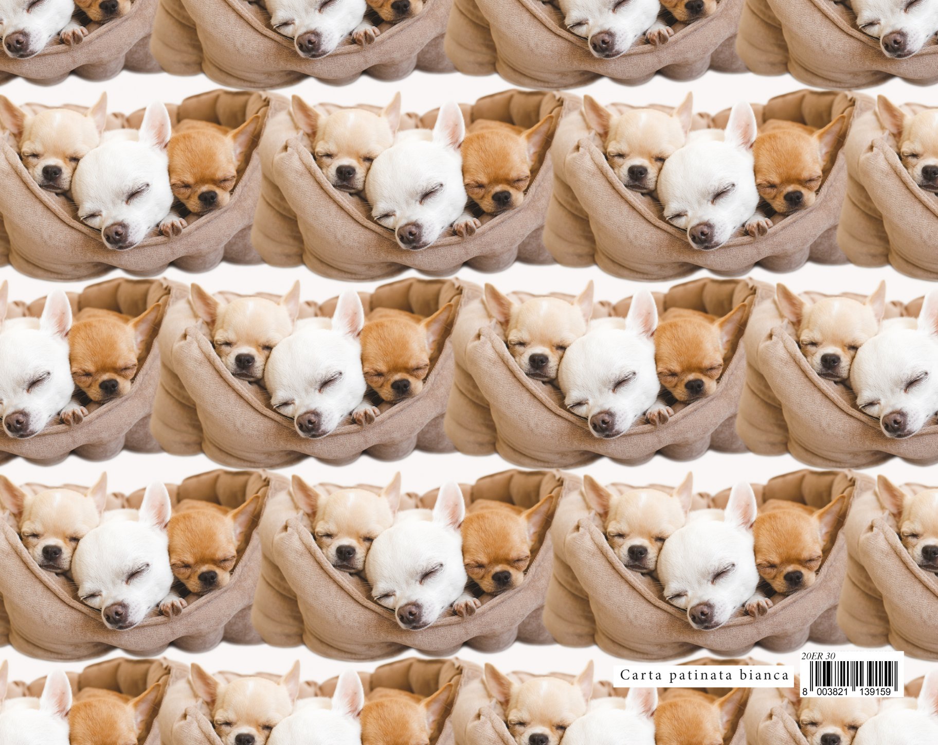 Vihikupaber 70x100cm - Chihuahuad