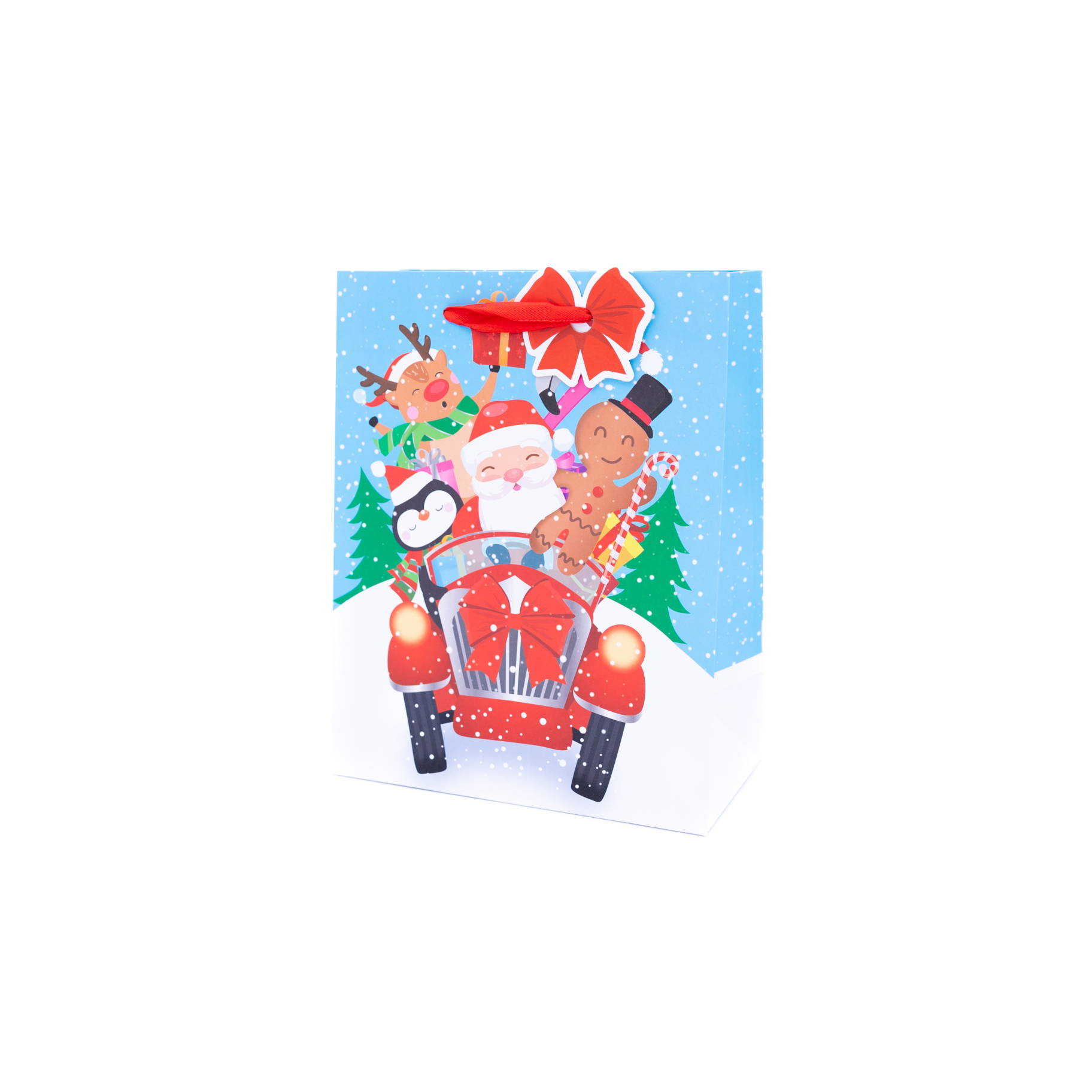 Jõulu kinkekott - Keskmine "Värvilised jõulud"