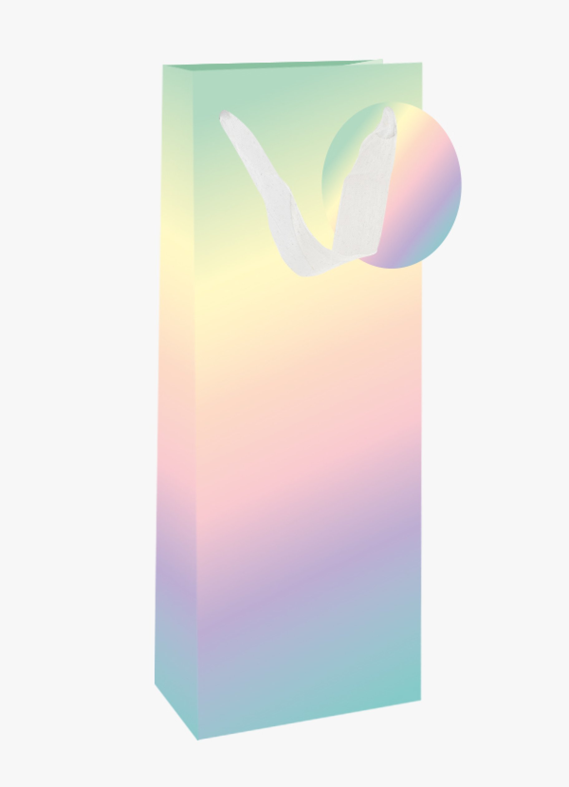 Pudeli kinkekott "Värvide segu"