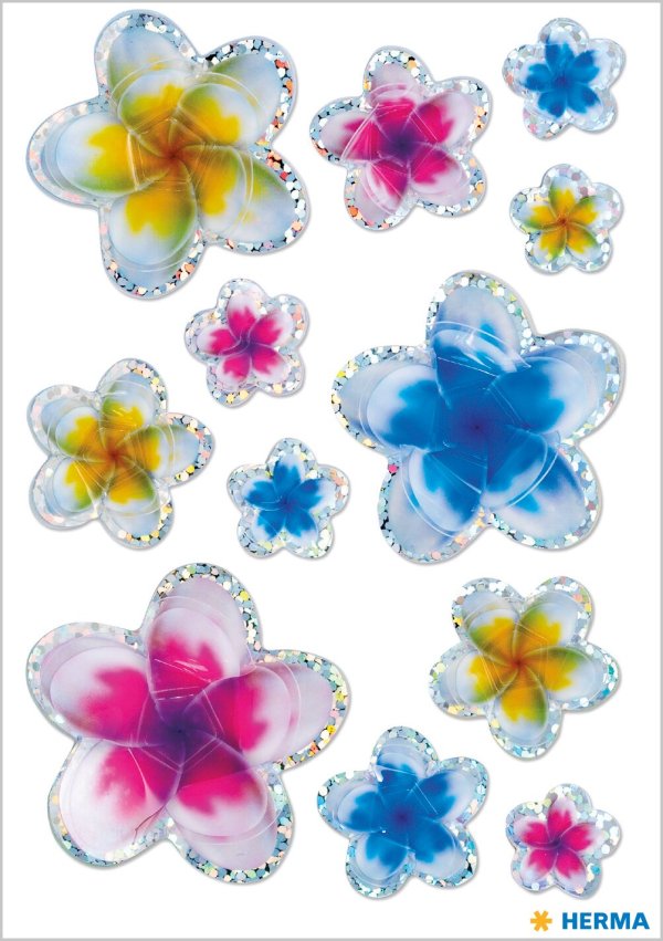 Kleebis "3D õitega suvelilled"