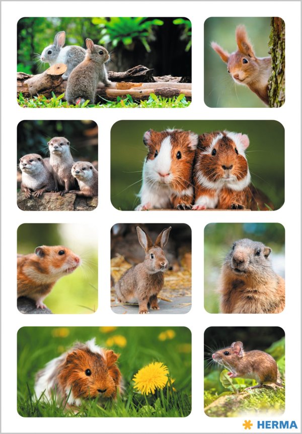 Kleebis "Närilised"