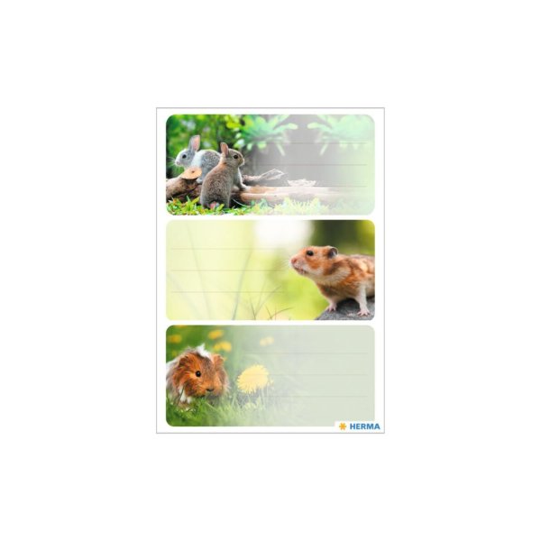 Kleebis etikett "Närilised"