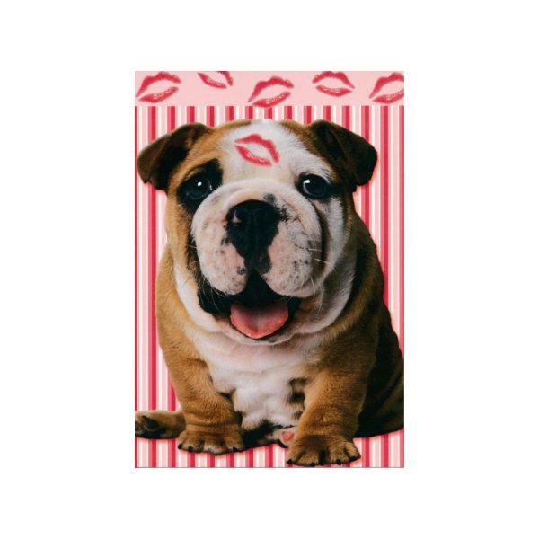Õnnitluskaart "Buldog"