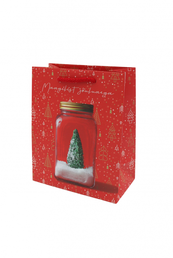 Jõulukinkekott "Maagilist jõuluaega"