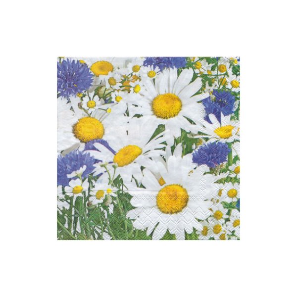 Salvrätid "Karikakrad"