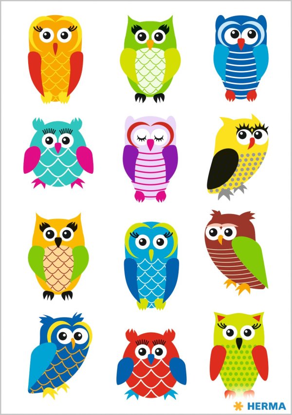 Kleebis "Värvilised öökullid"