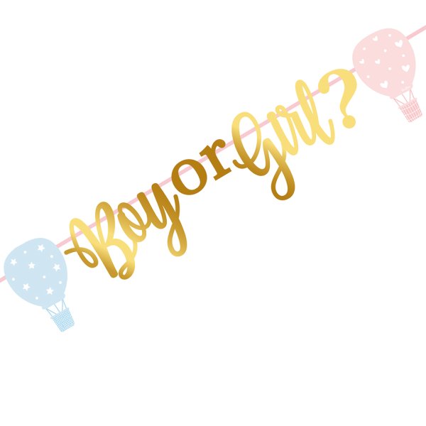 Bänner "Boy or Girl?"
