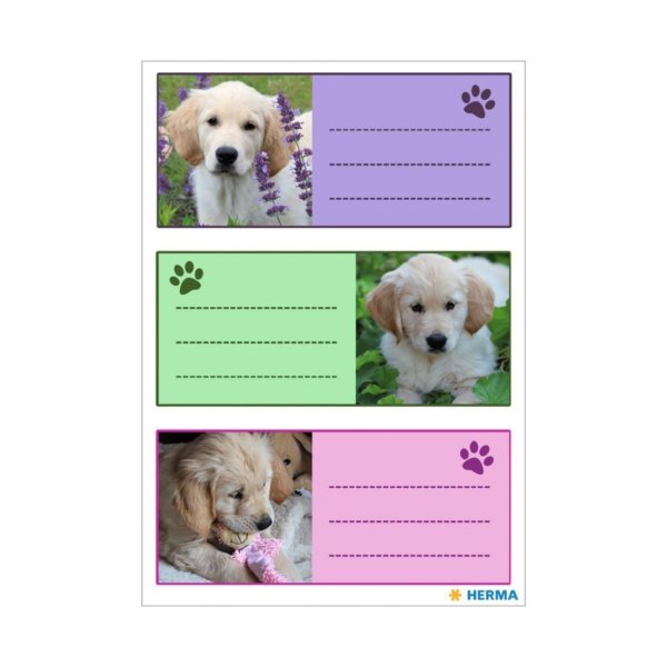 Kleebis etikett "Koerad"