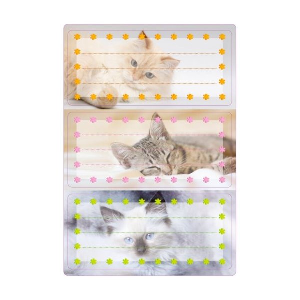 Kleebis etikett "Kassid"