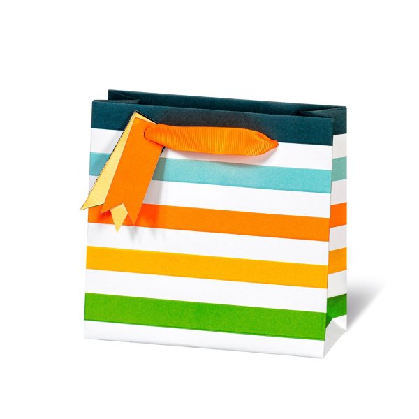 Väike kinkekott "Neon Stripe"