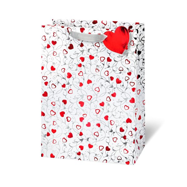 Suur kinkekott "Silver Hearts"