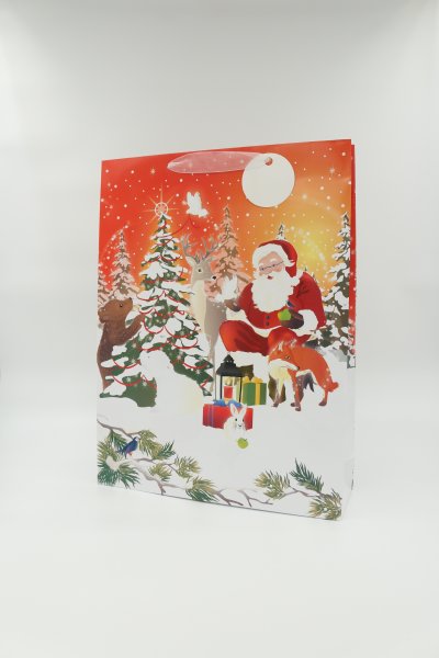 Jõulu kinkekott - XL "Maagilised jõulud"