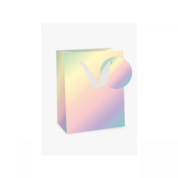 Väike kinkekott "Värvide segu"