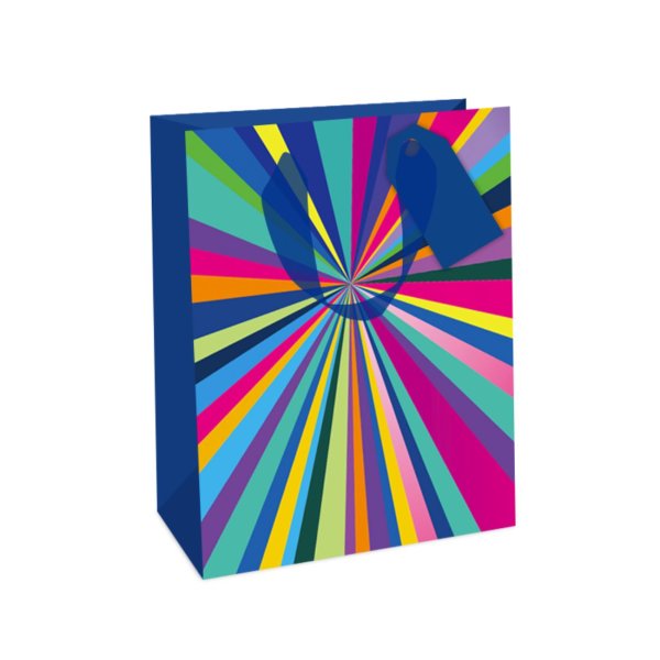 Keskmine kinkekott "Colourful Stripes"