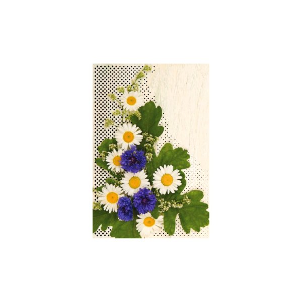 Õnnitluskaart "Kimp tammelehtedega"