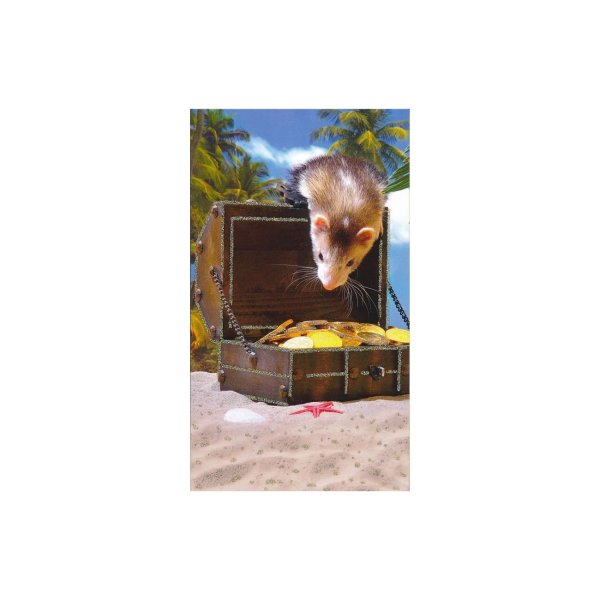 Rahakaart glitteriga "Nirk rahakirstuga"