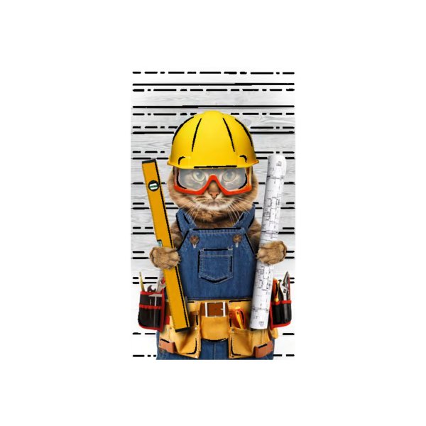 Rahakaart glitteriga "Ehitaja kass"