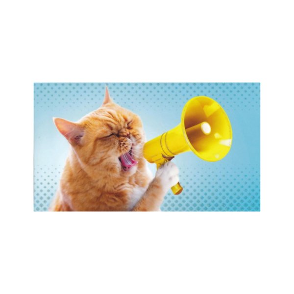 Rahakaart glitteriga "Kass ruuporiga"