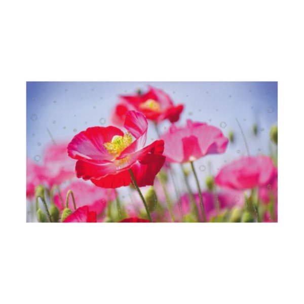 Rahakaart glitteriga "Moonid"