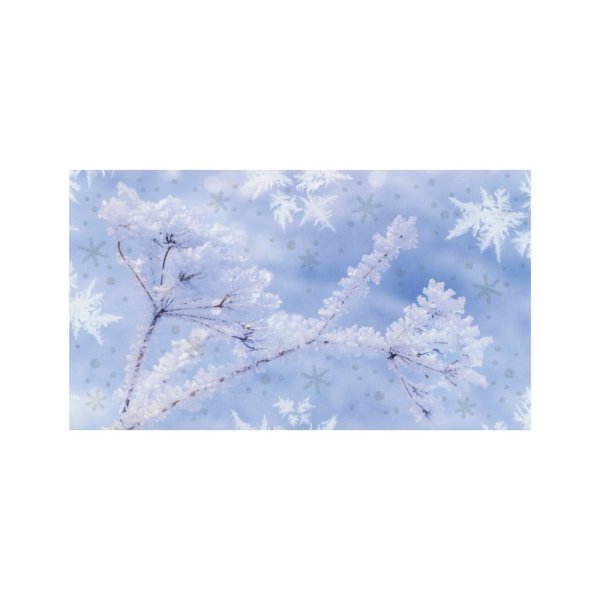 Rahakaart "Lumised kõrred"