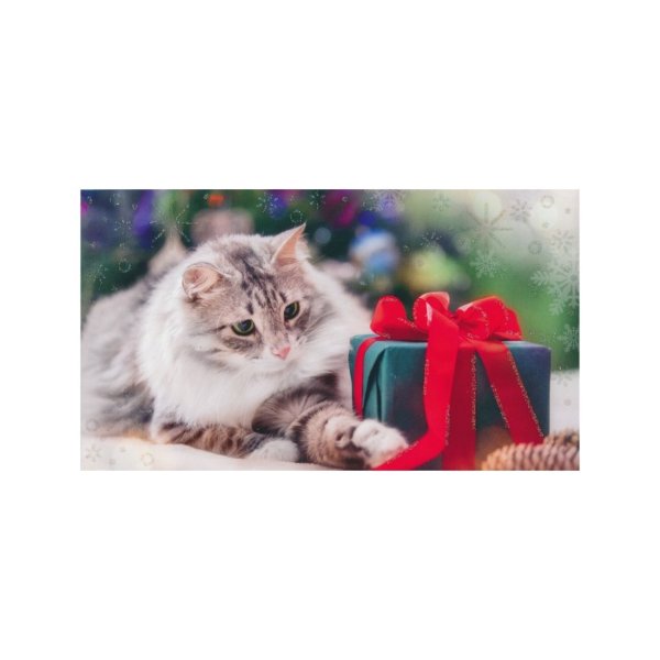 Rahakaart "Kass kingitusega"