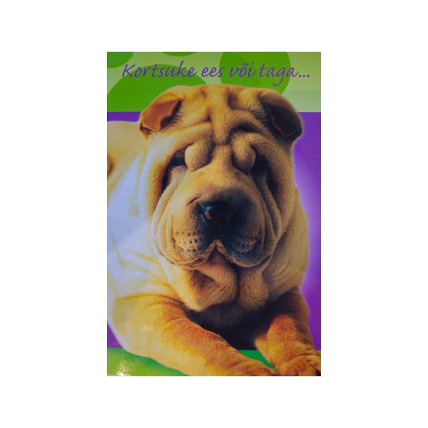 Õnnitluskaart "Kortsuke ees või taga