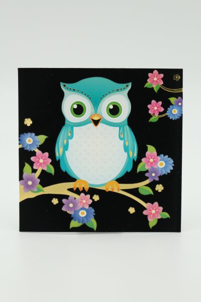 Õnnitluskaart  "Öökull"