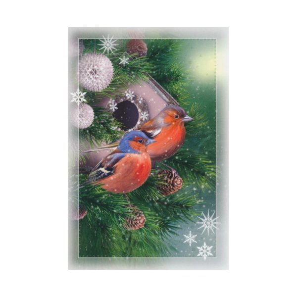 2-osaline lühike jõulukaart "Linnud"