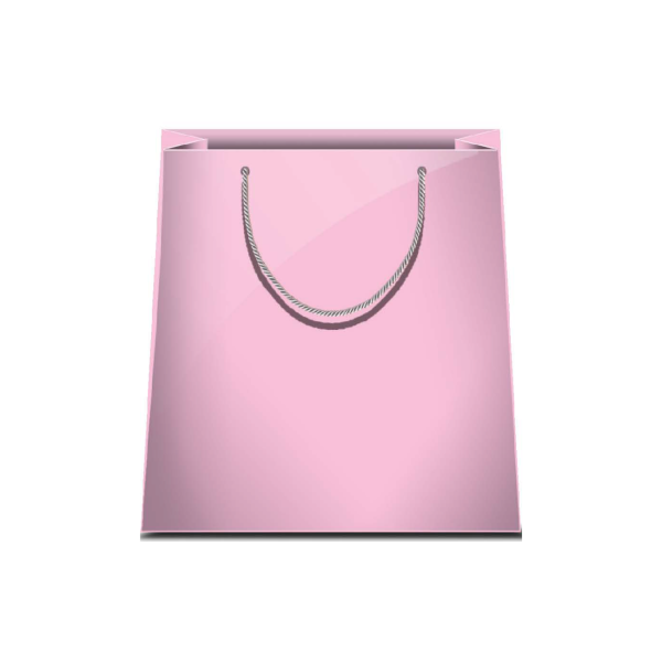 XL suuruses kinkekott "Heleroosa"