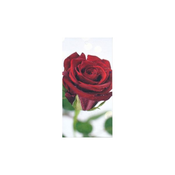 1-osaline pakikaart "Punane roos vihmapiiskadega"