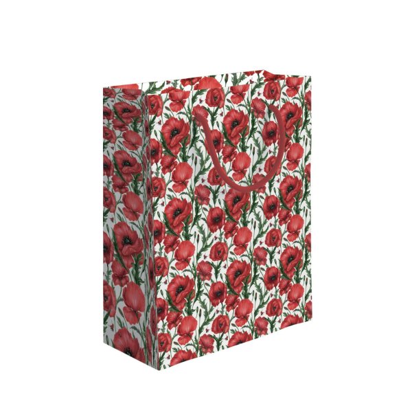 Kinkekott - XL suurus "Moonid"