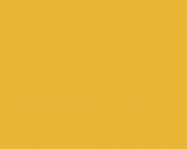 Raamatupaber 42x60cm - Oranž