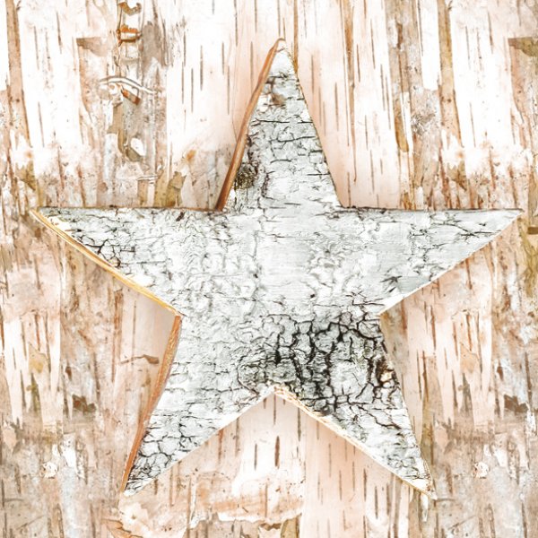 Salvrätid "Puidust ökotäht"