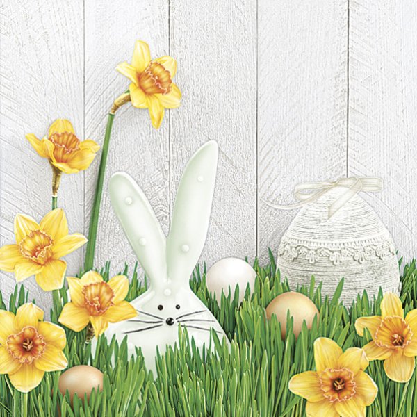 Salvrätid "Lihavõttejänes"